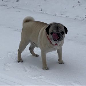 Meet your Posher, Jonathan